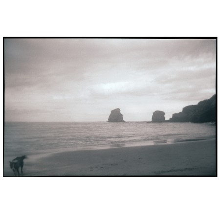 Zaharreneko garaietako mamu...